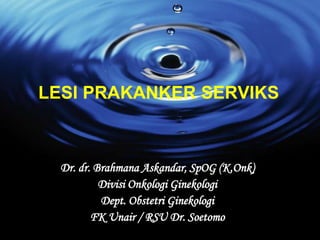 LESI PRAKANKER SERVIKS
Dr. dr. Brahmana Askandar, SpOG (K.Onk)
Divisi Onkologi Ginekologi
Dept. Obstetri Ginekologi
FK Unair / RSU Dr. Soetomo
 
