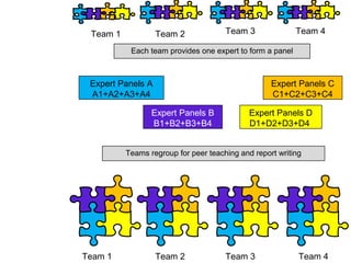 Expert Panels A
A1+A2+A3+A4
Expert Panels D
D1+D2+D3+D4
Expert Panels B
B1+B2+B3+B4
Expert Panels C
C1+C2+C3+C4
Team 1 Team 2
Team 1 Team 2
Each team provides one expert to form a panel
Teams regroup for peer teaching and report writing
Team 3 Team 4
Team 3 Team 4
 