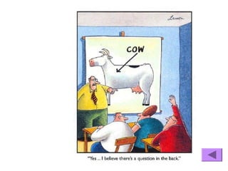 Interactive Teaching methods and techniques