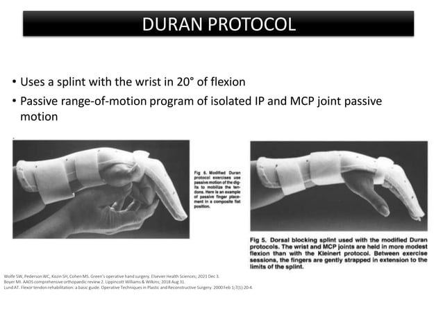 Brunner Incision Han FDP FDS repair.pdf