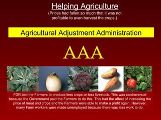 Helping Agriculture   (Prices had fallen so much that it was not profitable to even harvest the crops.)   Agricultural Adjustment Administration AAA FDR told the Farmers to produce less crops or less livestock. This was controversial because the Government paid the Farmers to do this. This had the affect of increasing the price of meat and crops and the Farmers were able to make a profit again. However, many Farm workers were made unemployed because there was less work to do. 
