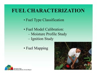 Development and Applications of Fire Danger Rating Systems in Southeast Asia
