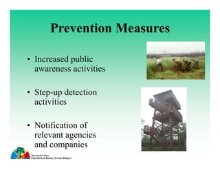 Development and Applications of Fire Danger Rating Systems in Southeast Asia