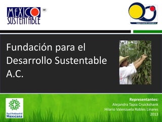 Fundación para el
Desarrollo Sustentable
A.C.
Representantes:
Alejandra Tapia Cruickshank
Hilario Valenzuela Robles Linares
2013
 