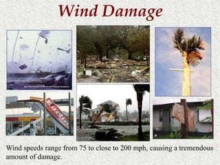 Wind Damage 
Wind speeds range from 75 to close to 200 mph, causing a tremendous 
amount of damage. 
 