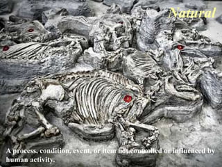 Natural 
A process, condition, event, or item not controlled or influenced by 
human activity. 
 