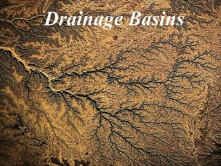 Drainage Basins 
 