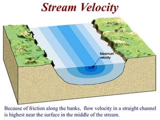 Stream Velocity 
Because of friction along the banks, flow velocity in a straight channel 
is highest near the surface in the middle of the stream. 
 