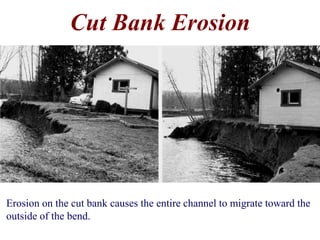 Cut Bank Erosion 
Erosion on the cut bank causes the entire channel to migrate toward the 
outside of the bend. 
 