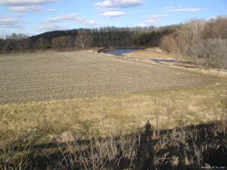 Photo by W. W. Little 
 