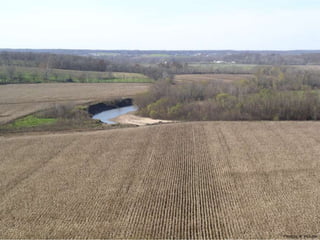 Photo by W. W. Little 
 