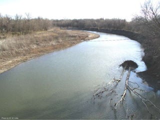 Photo by W. W. Little 
 