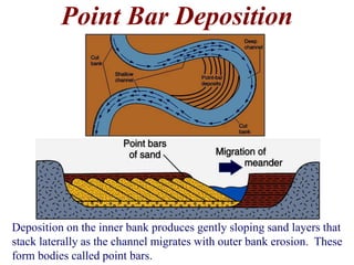 Point Bar Deposition 
Deposition on the inner bank produces gently sloping sand layers that 
stack laterally as the channel migrates with outer bank erosion. These 
form bodies called point bars. 
 