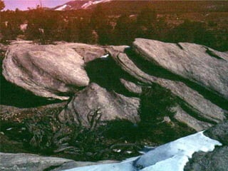 Photo by W. W. Little 
 