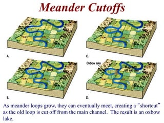 Meander Cutoffs 
As meander loops grow, they can eventually meet, creating a “shortcut” 
as the old loop is cut off from the main channel. The result is an oxbow 
lake. 
 
