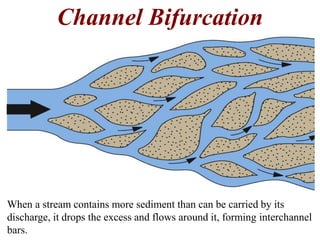 Channel Bifurcation 
When a stream contains more sediment than can be carried by its 
discharge, it drops the excess and flows around it, forming interchannel 
bars. 
 