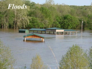Photo by W. W. Little 
Floods 
 