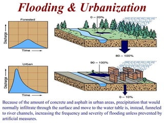 Flooding & Urbanization 
Because of the amount of concrete and asphalt in urban areas, precipitation that would 
normally infiltrate through the surface and move to the water table is, instead, funneled 
to river channels, increasing the frequency and severity of flooding unless prevented by 
artificial measures. 
 