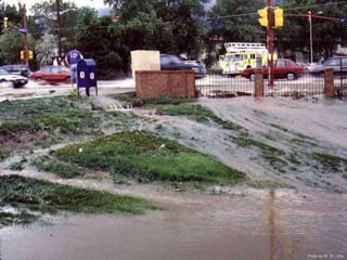 Photo by W. W. Little 
 