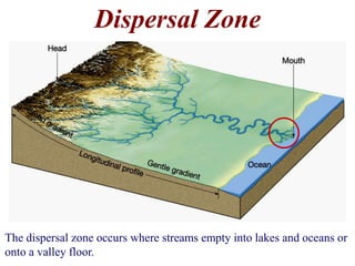 Dispersal Zone 
The dispersal zone occurs where streams empty into lakes and oceans or 
onto a valley floor. 
 