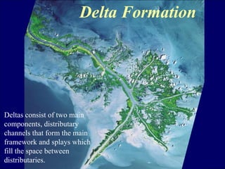 Delta Formation 
Deltas consist of two main 
components, distributary 
channels that form the main 
framework and splays which 
fill the space between 
distributaries. 
 