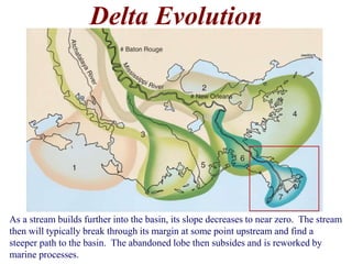 Delta Evolution 
As a stream builds further into the basin, its slope decreases to near zero. The stream 
then will typically break through its margin at some point upstream and find a 
steeper path to the basin. The abandoned lobe then subsides and is reworked by 
marine processes. 
 