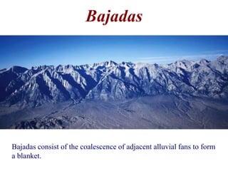 Bajadas 
Bajadas consist of the coalescence of adjacent alluvial fans to form 
a blanket. 
 