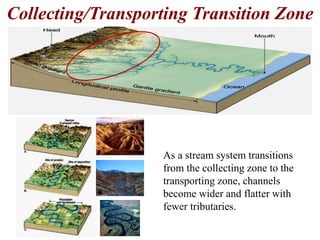 Collecting/Transporting Transition Zone 
As a stream system transitions 
from the collecting zone to the 
transporting zone, channels 
become wider and flatter with 
fewer tributaries. 
 
