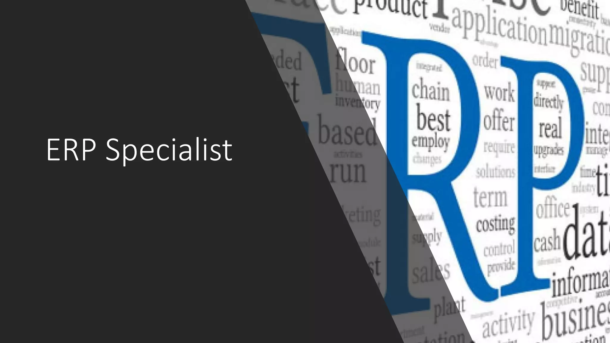 ERP Specialist
 