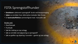 FDTA Sprengstoffhunder
• Detekterer udetonert sprengstoff brukt ved bergsprenging
• Søker av områder hvor alternative metoder ikke finnes
• Er kostnadseffektive sammenlignet med manuelle søk
Brukes ved:
• Overflatesøk
• Punktsøk
• Søk før lukking av nye anlegg
• Søk av område ved pågraving av sprengstoff
• Søk av grøfter og skjæring i tunneler – gamle og nye anlegg
 