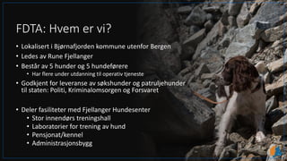 FDTA: Hvem er vi?
• Lokalisert i Bjørnafjorden kommune utenfor Bergen
• Ledes av Rune Fjellanger
• Består av 5 hunder og 5 hundeførere
• Har flere under utdanning til operativ tjeneste
• Godkjent for leveranse av søkshunder og patruljehunder
til staten: Politi, Kriminalomsorgen og Forsvaret
• Deler fasiliteter med Fjellanger Hundesenter
• Stor innendørs treningshall
• Laboratorier for trening av hund
• Pensjonat/kennel
• Administrasjonsbygg
 