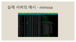 실제 서버의 예시 - mimosa
 