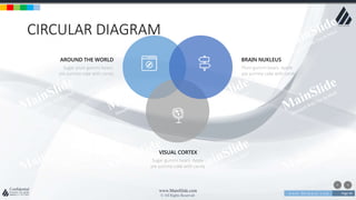 w w w . D o m a i n . c o m Page 94
www.MainSlide.com
© All Rights Reserved.
Confidential
CIRCULAR DIAGRAM
Plum gummi bears. Apple
pie yummy cake with candy
BRAIN NUKLEUS
Sugar gummi bears. Apple
pie yummy cake with candy
VISUAL CORTEX
Sugar plum gummi bears.
pie yummy cake with candy
AROUND THE WORLD
 