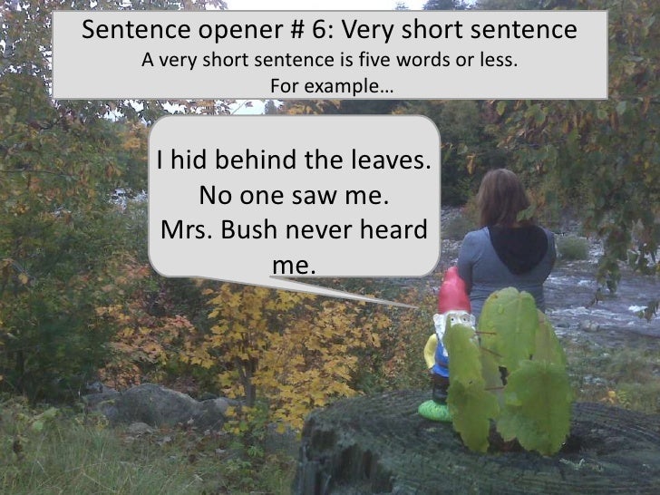 Fundamentals Writing and Literature Sentence Openers Presentation