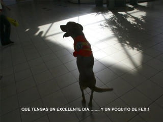 QUE TENGAS UN EXCELENTE DIA…….. Y UN POQUITO DE FE!!!!   