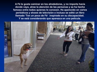 A Fé le gusta caminar en los alrededores, y no importa hacia donde vaya, atrae la atención de las personas y se ha hecho famoso entre todos quienes lo conocen. Ha aparecido en varios periódicos y shows de televisión e incluso se editó un libro llamado ‘Ten un poco de Fè‘  inspirado en su discapacidad.  Y se está considerando que aparezca en una película.  