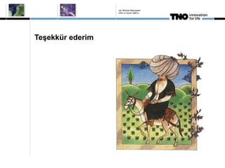 Teşekkür ederim
Jan Michiel Meeuwsen
OSH in Dutch SME's
 