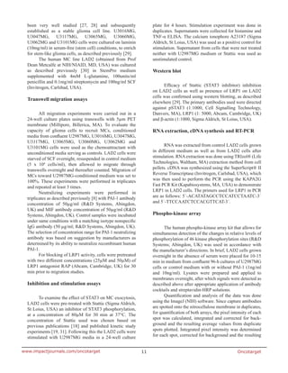 Oncotarget11www.impactjournals.com/oncotarget
been very well studied [27, 28] and subsequently
established as a stable glioma cell line. U3016MG,
U3047MG, U3117MG, U3065MG, U3060MG,
U3062MG and U3101MG cells were cultured on laminin
(10mg/ml) in serum-free (stem cell) conditions, to enrich
for stem-like glioma cells, as described previously [29].
The human MC line LAD2 (obtained from Prof
Dean Metcalfe at NIH/NIAID, MD, USA) was cultured
as described previously [30] in StemPro medium
supplemented with 4mM L-glutamine, 100units/ml
penicillin and 0.1mg/ml streptomycin and 100ng/ml SCF
(Invitrogen, Carlsbad, USA).
Transwell migration assays
All migration experiments were carried out in a
24-well culture plates using transwells with 5µm PET
membrane (Millipore, Billerica, MA). To evaluate the
capacity of glioma cells to recruit MCs, conditioned
media from confluent U2987MG, U3016MG, U3047MG,
U3117MG, U3065MG, U3060MG, U3062MG and
U3101MG cells were used as the chemoattractant with
unconditioned media serving as controls. LAD2 cells were
starved of SCF overnight, resuspended in control medium
(5 x 104
cells/ml), then allowed to migrate through
transwells overnight and thereafter counted. Migration of
MCs toward U2987MG-conditioned medium was set to
100%. These experiments were performed in triplicates
and repeated at least 3 times.
Neutralizing experiments were performed in
triplicates as described previously [8] with PAI-1 antibody
concentration of 50µg/ml (R&D Systems, Abingdon,
UK) and MIF antibody concentration of 50µg/ml (R&D
Systems, Abingdon, UK). Control samples were incubated
under same conditions with a matching isotype nonspecific
IgG antibody (50 µg/ml; R&D Systems, Abingdon, UK).
The selection of concentration range for PAI-1 neutralizing
antibody was based on suggestion by manufacturers as
determined by its ability to neutralize recombinant human
PAI-1.
For blocking of LRP1 activity, cells were pretreated
with two different concentrations (25µM and 50µM) of
LRP1 antagonist RAP (Abcam, Cambridge, UK) for 30
min prior to migration studies.
Inhibition and stimulation assays
To examine the effect of STAT3 on MC exocytosis,
LAD2 cells were pre-treated with Stattic (Sigma Aldrich,
St Loius, USA) an inhibitor of STAT3 phosphorylation,
at a concentration of 80µM for 30 min at 37°C. The
concentration of Stattic used was chosen based on
previous publications [18] and published kinetic study
experiments [19, 31]. Following this the LAD2 cells were
stimulated with U2987MG media in a 24-well culture
plate for 4 hours. Stimulation experiment was done in
duplicates. Supernatants were collected for histamine and
TNF-α ELISA. The calcium ionophore A23187 (Sigma
Aldrich, St Loius, USA) was used as a positive control for
stimulation. Supernatant from cells that were not treated
neither with U2987MG medium or Stattic was used as
unstimulated control.
Western blot
Efficacy of Stattic (STAT3 inhibitor) inhibition
on LAD2 cells as well as presence of LRP1 on LAD2
cells was confirmed using western blotting, as described
elsewhere [29]. The primary antibodies used were directed
against pSTAT3 (1:1000, Cell Signalling Technology,
Danvers, MA), LRP1 (1: 5000, Abcam, Cambridge, UK)
and β-actin (1:1000, Sigma Aldrich, St Loius, USA).
RNA extraction, cDNA synthesis and RT-PCR
RNA was extracted from control LAD2 cells grown
in different medium as well as from LAD2 cells after
stimulation. RNA extraction was done using TRIzol® (Life
Technologies, Waltham, MA) extraction method from cell
pellets. cDNA was synthesized using the SuperScript® II
Reverse Transcriptase (Invitrogen, Carlsbad, USA), which
was then used to perform the PCR using the KAPA2G
Fast PCR Kit (Kapabiosystems, MA, USA) to demonstrate
LRP1 in LAD2 cells. The primers used for LRP1 in PCR
are as follows: 5´-ACATATAGCCTCCATCCTAATC-3´
and 5´-TTCCAATCTCCACGTTCAT-3´.
Phospho-kinase array
The human phospho-kinase array kit that allows for
simultaneous detection of the changes in relative levels of
phosphorylation of 46 kinase phosphorylation sites (R&D
Systems; Abingdon, UK) was used in accordance with
the manufacturer’s directions. In brief, LAD2 cells grown
overnight in the absence of serum were placed for 10-15
min in medium from confluent 96-h cultures of U2987MG
cells or control medium with or without PAI-1 (1ng/ml
and 10ng/ml). Lysates were prepared and applied to
membranes overnight, after which signals were detected as
described above after appropriate application of antibody
cocktails and streptavidin-HRP solutions.
Quantification and analysis of the data was done
using the ImageJ (NIH) software. Since capture antibodies
are spotted onto the nitrocellulose membrane in duplicates,
for quantification of both arrays, the pixel intensity of each
spot was calculated, integrated and corrected for back-
ground and the resulting average values from duplicate
spots plotted. Integrated pixel intensity was determined
for each spot, corrected for background and the resulting
 