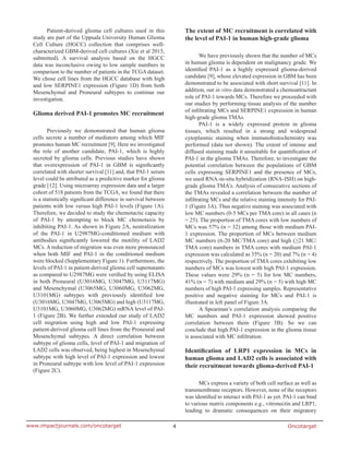 Oncotarget4www.impactjournals.com/oncotarget
Patient-derived glioma cell cultures used in this
study are part of the Uppsala University Human Glioma
Cell Culture (HGCC) collection that comprises well-
characterized GBM-derived cell cultures (Xie et al 2015,
submitted). A survival analysis based on the HGCC
data was inconclusive owing to low sample numbers in
comparison to the number of patients in the TCGA dataset.
We chose cell lines from the HGCC database with high
and low SERPINE1 expression (Figure 1D) from both
Mesenchymal and Proneural subtypes to continue our
investigation.
Glioma derived PAI-1 promotes MC recruitment
Previously we demonstrated that human glioma
cells secrete a number of mediators among which MIF
promotes human MC recruitment [9]. Here we investigated
the role of another candidate, PAI-1, which is highly
secreted by glioma cells. Previous studies have shown
that overexpression of PAI-1 in GBM is significantly
correlated with shorter survival [11] and, that PAI-1 serum
level could be attributed as a predictive marker for glioma
grade [12]. Using microarray expression data and a larger
cohort of 518 patients from the TCGA, we found that there
is a statistically significant difference in survival between
patients with low versus high PAI-1 levels (Figure 1A).
Therefore, we decided to study the chemotactic capacity
of PAI-1 by attempting to block MC chemotaxis by
inhibiting PAI-1. As shown in Figure 2A, neutralization
of the PAI-1 in U2987MG-conditioned medium with
antibodies significantly lowered the motility of LAD2
MCs. A reduction of migration was even more pronounced
when both MIF and PAI-1 in the conditioned medium
were blocked (Supplementary Figure 1). Furthermore, the
levels of PAI-1 in patient-derived glioma cell supernatants
as compared to U2987MG were verified by using ELISA
in both Proneural (U3016MG, U3047MG, U3117MG)
and Mesenchymal (U3065MG, U3060MG, U3062MG,
U3101MG) subtypes with previously identified low
(U3016MG, U3047MG, U3065MG) and high (U3117MG,
U3101MG, U3060MG, U3062MG) mRNA level of PAI-
1 (Figure 2B). We further extended our study of LAD2
cell migration using high and low PAI-1 expressing
patient-derived glioma cell lines from the Proneural and
Mesenchymal subtypes. A direct correlation between
subtype of glioma cells, level of PAI-1 and migration of
LAD2 cells was observed, being highest in Mesenchymal
subtype with high level of PAI-1 expression and lowest
in Proneural subtype with low level of PAI-1 expression
(Figure 2C).
The extent of MC recruitment is correlated with
the level of PAI-1 in human high-grade glioma
We have previously shown that the number of MCs
in human glioma is dependent on malignancy grade. We
identified PAI-1 as a highly expressed glioma-derived
candidate [9], whose elevated expression in GBM has been
demonstrated to be associated with short survival [11]. In
addition, our in vitro data demonstrated a chemoattractant
role of PAI-1 towards MCs. Therefore we proceeded with
our studies by performing tissue analysis of the number
of infiltrating MCs and SERPINE1 expression in human
high-grade glioma TMAs.
PAI-1 is a widely expressed protein in glioma
tissues, which resulted in a strong and widespread
cytoplasmic staining when immunohistochemistry was
performed (data not shown). The extent of intense and
diffused staining made it unsuitable for quantification of
PAI-1 in the glioma TMAs. Therefore, to investigate the
potential correlation between the populations of GBM
cells expressing SERPINE1 and the presence of MCs,
we used RNA-in-situ hybridization (RNA-ISH) on high-
grade glioma TMA’s. Analysis of consecutive sections of
the TMAs revealed a correlation between the number of
infiltrating MCs and the relative staining intensity for PAI-
1 (Figure 3A). Thus negative staining was associated with
low MC numbers (0-5 MCs per TMA core) in all cases (n
= 25). The proportion of TMA cores with low numbers of
MCs was 57% (n = 32) among those with medium PAI-
1 expression. The proportion of MCs between medium
MC numbers (6-20 MC/TMA core) and high (≥21 MC/
TMA core) numbers in TMA cores with medium PAI-1
expression was calculated as 35% (n = 20) and 7% (n = 4)
respectively. The proportion of TMA cores exhibiting low
numbers of MCs was lowest with high PAI-1 expression.
These values were 29% (n = 5) for low MC numbers,
41% (n = 7) with medium and 29% (n = 5) with high MC
numbers of high PAI-1 expressing samples. Representative
positive and negative staining for MCs and PAI-1 is
illustrated in left panel of Figure 3A.
A Spearman’s correlation analysis comparing the
MC numbers and PAI-1 expression showed positive
correlation between them (Figure 3B). So we can
conclude that high PAI-1 expression in the glioma tissue
is associated with MC infiltration.
Identification of LRP1 expression in MCs in
human glioma and LAD2 cells is associated with
their recruitment towards glioma-derived PAI-1
MCs express a variety of both cell surface as well as
transmembrane receptors. However, none of the receptors
was identified to interact with PAI-1 as yet. PAI-1 can bind
to various matrix components e.g., vitronectin and LRP1,
leading to dramatic consequences on their migratory
 