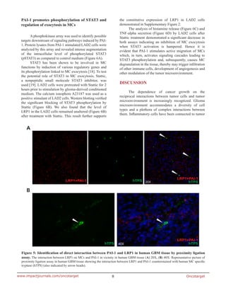 Oncotarget8www.impactjournals.com/oncotarget
PAI-1 promotes phosphorylation of STAT3 and
regulation of exocytosis in MCs
A phosphokinase array was used to identify possible
targets downstream of signaling pathways induced by PAI-
1. Protein lysates from PAI-1 stimulated LAD2 cells were
analyzed by this array and revealed intense augmentation
of the intracellular level of phosphorylated STAT3
(pSTAT3) as compared to control medium (Figure 6A).
STAT3 has been shown to be involved in MC
functions by induction of various regulatory genes and
its phosphorylation linked to MC exocytosis [18]. To test
the potential role of STAT3 in MC exocytosis, Stattic,
a nonpeptidic small molecule STAT3 inhibitor, was
used [19]. LAD2 cells were pretreated with Stattic for 2
hours prior to stimulation by glioma-derived conditioned
medium. The calcium ionophore A23187 was used as a
positive stimulant of LAD2 cells. Western blotting verified
the significant blocking of STAT3 phosphorylation by
Stattic (Figure 6B). We also found that the level of
LRP1 in the LAD2 cells remained unaltered (Figure 6B)
after treatment with Stattic. This result further supports
the constitutive expression of LRP1 in LAD2 cells
demonstrated in Supplementary Figure 2.
The analysis of histamine release (Figure 6C) and
TNF-alpha secretion (Figure 6D) by LAD2 cells after
Stattic treatment demonstrated a significant decrease in
both assays indicating an inhibition of MC exocytosis
when STAT3 activation is hampered. Hence it is
evident that PAI-1 stimulates active migration of MCs
which, in turn, activates signaling cascades leading to
STAT3 phosphorylation and, subsequently, causes MC
degranulation in the tissue, thereby may trigger infiltration
of other immune cells, development of angiogenesis and
other modulation of the tumor microenvironment.
DISCUSSION
The dependence of cancer growth on the
reciprocal interactions between tumor cells and tumor
microenvironment is increasingly recognized. Glioma
microenvironment accommodates a diversity of cell
types and a plethora of complex interactions between
them. Inflammatory cells have been connected to tumor
Figure 5: Identification of direct interaction between PAI-1 and LRP1 in human GBM tissue by proximity ligation
assay. The interaction between LRP1 on MCs and PAI-1 in vicinity in human GBM tissue (A) 20X, (B) 40X: Representative picture of
proximity ligation assay in human GBM tissue showing the interaction between LRP1 and PAI-1 counterstained with human MC specific
tryptase (hTPS) (also indicated by arrow heads).
 