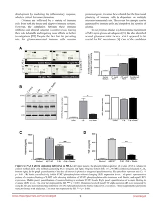 Oncotarget9www.impactjournals.com/oncotarget
development by mediating the inflammatory response,
which is critical for tumor formation.
Gliomas are infiltrated by a variety of immune
cells from both the innate and adaptive immune systems.
However, the correlation between these immune
infiltrates and clinical outcome is controversial, leaving
their role debatable and requiring more efforts in further
investigations [20]. Despite the fact that the prevailing
role for glioma-associated immune cells remains
protumorigenic, it cannot be excluded that the functional
plasticity of immune cells is dependent on multiple
microenvironmental cues. These cues for example can be
generated by immune cells and depend on the severity of
glioma.
In our previous studies we demonstrated recruitment
of MCs upon glioma development [8]. We also identified
several glioma-secreted factors, which appeared to be
crucial for MC recruitment [9]. One of the candidates
Figure 6: PAI-1 alters signaling networks in MCs. (A) Upper panels: the phosphorylation profiles of lysates of MCs cultured in
control medium (top left), medium containing PAI-1 (1ng/ml, top right; 10ng/ml, bottom left) or U2987MG-conditioned medium (C.M.,
bottom right). In the graph quantification of the dots of interest is plotted as integrated pixel intensities. The error bars represent the SD. **
p < 0.01. (B) Stattic can effectively inhibit STAT3 phosphorylation without changing LRP1 expression levels. Left panel: representative
picture of a western blotting of LAD2 cells showing inhibition of STAT3 phosphorylation after treatment with Stattic, and equal LRP1
expression. Middle panel: quantification of western blotting to evaluate STAT3 levels. Right panel: quantification of western blotting to
evaluate LRP1 levels. The error bars represent the SD. *** p < 0.001. Histamine levels (C) and TNF-alpha secretion (D) were measured by
using ELISAand demonstrated that inhibition of STAT3 phosphorylation by Stattic reduces MC exocytosis. Three independent experiments
were performed with triplicates. The error bars represent the SD. *** p < 0.001.
 