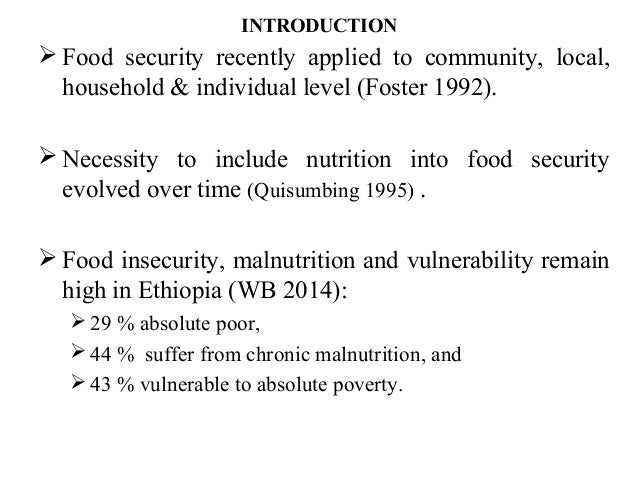 household food security thesis