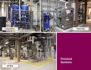 Finished
Systems
compressd Air Carbon Filter
CIP Skids
 