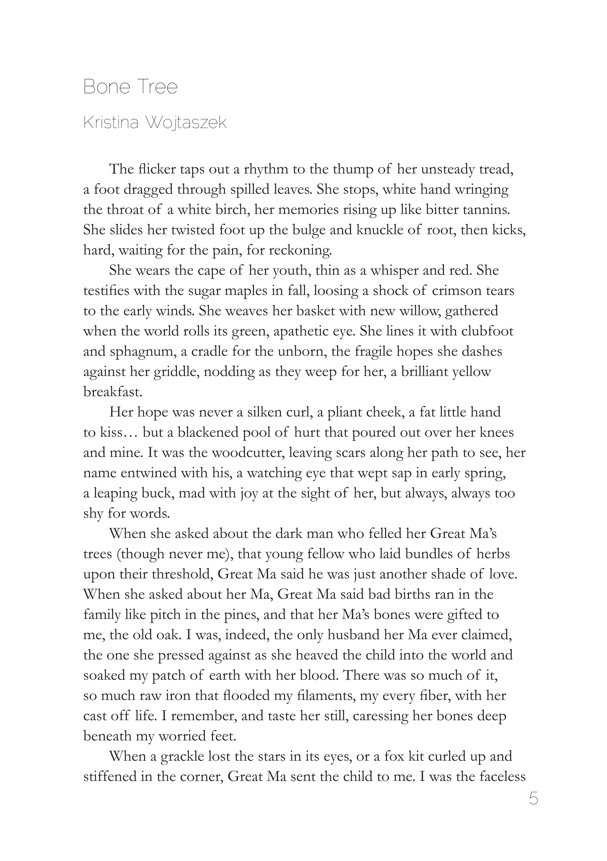 5
Bone Tree
Kristina Wojtaszek
The flicker taps out a rhythm to the thump of her unsteady tread,
a foot dragged through spilled leaves. She stops, white hand wringing
the throat of a white birch, her memories rising up like bitter tannins.
She slides her twisted foot up the bulge and knuckle of root, then kicks,
hard, waiting for the pain, for reckoning.
She wears the cape of her youth, thin as a whisper and red. She
testifies with the sugar maples in fall, loosing a shock of crimson tears
to the early winds. She weaves her basket with new willow, gathered
when the world rolls its green, apathetic eye. She lines it with clubfoot
and sphagnum, a cradle for the unborn, the fragile hopes she dashes
against her griddle, nodding as they weep for her, a brilliant yellow
breakfast.
Her hope was never a silken curl, a pliant cheek, a fat little hand
to kiss… but a blackened pool of hurt that poured out over her knees
and mine. It was the woodcutter, leaving scars along her path to see, her
name entwined with his, a watching eye that wept sap in early spring,
a leaping buck, mad with joy at the sight of her, but always, always too
shy for words.
When she asked about the dark man who felled her Great Ma’s
trees (though never me), that young fellow who laid bundles of herbs
upon their threshold, Great Ma said he was just another shade of love.
When she asked about her Ma, Great Ma said bad births ran in the
family like pitch in the pines, and that her Ma’s bones were gifted to
me, the old oak. I was, indeed, the only husband her Ma ever claimed,
the one she pressed against as she heaved the child into the world and
soaked my patch of earth with her blood. There was so much of it,
so much raw iron that flooded my filaments, my every fiber, with her
cast off life. I remember, and taste her still, caressing her bones deep
beneath my worried feet.
When a grackle lost the stars in its eyes, or a fox kit curled up and
stiffened in the corner, Great Ma sent the child to me. I was the faceless
 