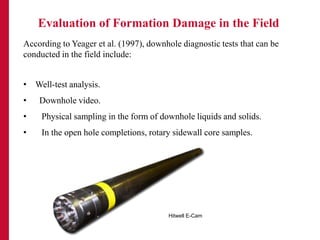 Formation Damage Presentation Group F | PPTX