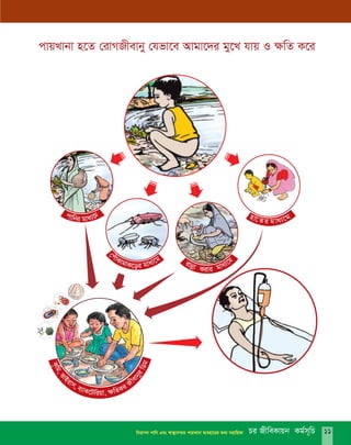 cvqLvbv n‡Z †ivMRxevby †hfv‡e Avgv‡`i gy‡L hvq I ¶wZ K‡i
e¨v, Km ‡v Ui wiBv qvf ,
,
¶
gw
wZ
K
KiRxevbiwW
…
g
gi ‡¨vb avvœ gKivi
Pi RxweKvqb Kg©m~wPwbivc` cvwb Ges ¯^v¯’¨m¤§Z cvqLvbv e¨env‡ii Z_¨ mnvwqKv 11
 