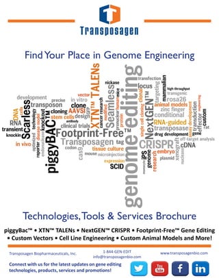 FindYour Place in Genome Engineering
Transposagen Biopharmaceuticals, Inc. 1-844-GEN-EDIT
info@transposagenbio.com
www.transposagenbio.com
Technologies,Tools & Services Brochure
piggyBac™ • XTN™ TALENs • NextGEN™ CRISPR • Footprint-Free™ Gene Editing
• Custom Vectors • Cell Line Engineering • Custom Animal Models and More!
Connect with us for the latest updates on gene editing
technologies, products, services and promotions!
 