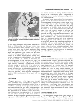 to mild central pulmonary insufﬁciency, and peak gra-
dients of 3–16 mm Hg over the right outﬂow tract.
Histological analysis of the explanted grafts was per-
formed in one sheep after 1 month (unplanned death
from pneumonia), in another after 3 months (unplanned
death from bacteremia, heart failure with pericardial
effusion and tamponnade), and in two animals as
planned at 6 months. Macroscopically, pliable free-
moving transparent non-calciﬁed leaﬂets were observed
in all four animals. At 3 months in one animal, no
reendothelialization on the decellularized graft was
observed. Bacterial colonies together with ﬁndings
from pathology conﬁrmed a postoperative bacterial
infection leading to sepsis, with valve leaﬂets sur-
rounded by ﬁbrin. Histological examination at 6
months showed a layer of endothelial cells on the sur-
face of the valve (Fig. 4). Scant lymph follicles in one
graft wall indicated a mild unspeciﬁc immunogenic
reaction. Light vascularization of the graft wall was
observed.
DISCUSSION
Surgical pulmonary valve replacement through
repeat sternotomy using cardiopulmonary bypass is a
standardized procedure with excellent results [1], but is
considered a relatively invasive procedure. Percutane-
ous approaches for PVR may reduce the invasiveness,
are also widely accepted, but currently still have lim-
ited application due to prosthesis-vascular access mis-
match. Common to both approaches is the biological
fate and reduced longevity of the extant prostheses
available, be they of human or animal origin, rendering
any measure at best palliative. More recently, research
and clinical attempts are striving for transventricular
access to the right outﬂow, using a combination of
minimally invasive surgical techniques and percutane-
ous technology [3–8].
Advantages of the newly designed stent with a sinus
portion include the creation of vortex ﬂow, which is
very important to promote active closure of the valve,
also avoiding the so called ‘‘hammock effect’’ [9].
Vortex ﬂow reduces wear and shear stress, and there-
fore increases the durability of the valve cusps [10,11].
In contrast, in extant stents without a sinus portion, the
valve closes only passively because of backﬂow. The
direct apical approach to the right ventricle allows for
insertion of stented valves with a larger diameter than
is otherwise possible with the current percutaneous sys-
tems. Stent release with a hydraulic mechanism allows
for a very ﬂexible and narrow shaft of the instrument.
The design permits easily following of the guide wire
to the desired position. The release mechanism can be
controlled with one hand, keeping the other free to
secure the position of the device during release. The
stented valves have been echocardiographically docu-
mented to function correctly up to 6 months, with his-
tological evidence of vascularization of the graft wall,
and endothelialization of the valve.
CONCLUSIONS
In an experimental sheep survival model, we have
demonstrated the feasibility and ease of insertion of a
new stented equine valve with a sinus portion, using a
new hydraulic device release system through a mini
right thoracotomy, on a beating heart. This approach
may become a complement to the percutaneous trans-
catheter one, either in much younger patients with
small vascular access, or on the contrary in very large
patients with much wider outﬂow tracts than the extant
percutaneous valves. With direct access to the right
outﬂow, problems pertaining to these two extremes in
patient vessel or outﬂow versus device mismatch
potentially allow a broader patient population to beneﬁt
from this type of therapy. Insertion through a small
incision avoiding repeat sternotomy, as well of the fea-
sibility to insert the prosthesis without the use of car-
diopulmonary bypass make this a more attractive and
less invasive procedure. Mid to long-term functional
and histological results are required for further evalua-
tion of this new valve.
ACKNOWLEDGEMENTS
The authors thank Monika Hilbe, MD, Institute of
Veterinary Pathology, Vetsuisse Faculty Zurich,
Fig. 4. Histology of an explanted competent valve at 6
months, with pliable noncalciﬁed leaﬂets (*), and an endothe-
lial layer (arrows).
Equine Stented Pulmonary Valve Insertion 657
Catheterization and Cardiovascular Interventions DOI 10.1002/ccd.
Published on behalf of The Society for Cardiovascular Angiography and Interventions (SCAI).
 