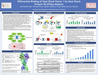 RESEARCH POSTER PRESENTATION DESIGN © 2011
www.PosterPresentations.com
	
   	
  INTRODUCTION	
  
Plan	
  of	
  Ac<on	
  
RESULTS	
  
CONCLUSIONS	
  
REFERENCES	
  
Differential Binding of Heat Shock Factor 1 by Heat Shock
Protein 90 ATPase Mutants
Urologic	
  Oncology	
  Branch,	
  Na.onal	
  Cancer	
  Ins.tute	
  
Kofi Khamit-Kush, Thomas Prince, Manabu Tatokoro, Kristin Beebe and Len Neckers
METHODS	
  
•  HSP90A and HSP90B each interact with HSF1 in a unique pattern.
•  HSP90 ATPase state determines HSF1 interaction strength.
•  HSP90 interaction strength correlates with HSF1-driven hsp70-luciferase interaction
•  Both ATPase null mutants E42A and E47A cause an increase in HSF1 interaction. This
interaction correlates with an increase in HSF1 driven hsp70b-luciferase expression.
•  Both non-ATP-binding mutants D88A and D93A cause a decrease in HSF1 interaction
(although effect of D88A is not statistically significant). This correlates with a decrease
in hsp70b-luciferase expression.
•  HSP90 b8A mutations disrupt HSF1 interaction, however for HSP90A this leads to an
increase in hsp70b-luciferase expression.
•  ATPase-defective mutants R400A and R392A differ greatly between the two HSP90
paralogs in their ability to both bind HSF1 and to promote hsp70b-luciferase expression.
•  These results challenge the current dogma of HSF1 regulation by HSP90.
Clinical development of HSP90 inhibitors
Hsp90inhibitorsinclinicaltrial
1994
PNAS
ID Target
1999
17-AAG
2004
17-DMAG
2005
IPI-504
2006
BIIB021
2007
SNX-5422
AUY922
KW-2478
2008
IPI-493
BIIB028
STA-9090
XL888
2009
AT13387
HSP990
MPC-3100
ABI-01
2010
Debio 0932
PU-H71
DS-2248
0
6
8
12
18
16
2
4
10
14
1970
Deboer
J. Antibiot.
Geldanamycin
RESULTS	
  (con<nued)	
  
HSP90	
  Dimer	
  Model	
  with	
  
ATPase	
  Mutants	
  Shown	
  
Immunoprecipita.on	
  analysis	
  of	
  HSP90-­‐HSF1	
  interac.on	
  
HSP90A	
  
E47A	
   Binds	
  ATP	
  but	
  null	
  ATPase	
  ac.vity	
  
D93A	
   Cannot	
  bind	
  ATP	
  
b8A	
   Defec.ve	
  HSP90	
  intra-­‐domain	
  interac.on	
  
R400A	
   Defec.ve	
  ATPase	
  ac.vity	
  
HSP90B	
  
E42A	
   Binds	
  ATP	
  but	
  null	
  ATPase	
  ac.vity	
  
D88A	
   Cannot	
  bind	
  ATP	
  
b8A	
   Defec.ve	
  HSP90	
  intra-­‐domain	
  interac.on	
  
R392A	
   Defec.ve	
  ATPase	
  ac.vity	
  
HSP90 is a molecular chaperone that utilizes ATPase activity to fold, maintain and regulate
the activity of numerous signal transduction components throughout the cell.
Comprised of two paralogs (HSP90A (stress inducible) and HSP90B (constitutively
expressed), HSP90 is a critical contributor to each of the hallmarks of cancer. Hence,
HSP90 is recognized as a major drug target and a subject of more than 80 clinical trials.
HSF1 is the primary transcription factor that initiates gene expression of heat shock
proteins (HSP), including HSP90A, in response to proteotoxic stress. Referred to as the
guardian of the proteome, appropriate HSF1 activity is required to maintain proper
cellular proteostasis and prevent protein aggregation, a hallmark of many
neurodegenerative disorders. However, when overexpressed or hyperactive, HSF1 can
enable the onset of tumorigenesis and malignancy. Therefore, many cancers are
addicted to HSF1 activity. HSP90 negatively regulates HSF1.
During normal cellular growth conditions HSP90 binds HSF1 and retains it as an inactive
monomer. When the cell experiences proteotoxic stress, however, HSF1 is released from
HSP90 and subsequently forms homo-trimers, translocates into the nucleus, and binds
the promoters of its target genes.
Hsp90 chaperone activity requires its ATPase function, and we have examined whether
mutations that alter HSP90 ATPase activity in turn affect HSF1 interaction and activity.
Step	
  1:	
  Design	
  Flag-­‐HSP90	
  A	
  and	
  B	
  mutants.	
  
	
  
Step	
  2:	
  Test	
  ability	
  of	
  Flag-­‐HSP90	
  A	
  and	
  B	
  mutants	
  to	
  bind	
  
Luciferase-­‐tagged	
  HSF1	
  (HSF1-­‐NL)	
  using	
  LUMIER	
  assay.	
  
	
  
Step	
  3:	
  Conﬁrm	
  LUMIER	
  ﬁndings	
  with	
  classical	
  	
  
immunoprecipita.on	
  assay.	
  
	
  
Step	
  4:	
  Determine	
  eﬀect	
  of	
  Flag-­‐HSP90	
  A	
  and	
  B	
  interac.on	
  	
  
on	
  HSF1	
  ac.vity	
  by	
  measuring	
  induc.on	
  of	
  the	
  	
  
hsp70b	
  promoter	
  fused	
  to	
  a	
  luciferase	
  reporter.	
  	
  
FUTURE	
  EXPERIMENTS	
  
•  Determine the ability of clinical HSP90 inhibitors to disrupt HSF1 interaction and affect
hsp70b-luciferase expression.
•  Determine the affinity of each HSP90 mutant for clinically relevant inhibitors in order to
better understand the inhibitors’ mode of action.
Evade	
  Immune	
  
Response	
  
Limitless	
  
Replica.on	
  
Angiogenesis	
  
Metastasis	
  
Insensi.ve	
  to	
  
An.-­‐growth	
  
Signals	
  
Evade	
  
Apoptosis	
  
Self-­‐suﬃcient	
  
Growth	
  
Reprogram	
  
Energy	
  
Metabolism	
  
HSP90	
  
Hallmarks	
  of	
  Cancer	
  
1)  Tsutsumi	
  S,	
  Beebe	
  K,	
  Neckers	
  L.	
  (2009)	
  Impact	
  of	
  heat-­‐shock	
  protein	
  90	
  on	
  metastasis.	
  Future	
  Oncol.	
  679-­‐688.	
  
2)  Cunningham	
  C,	
  Southworth	
  D,	
  Krukenberg	
  K,	
  Agard	
  D.	
  (2012)	
  The	
  conserved	
  arginine	
  380	
  of	
  Hsp90	
  is	
  not	
  
cataly.c	
  residue,	
  stabilizes	
  the	
  closed	
  conforma.on	
  required	
  for	
  ATP	
  hydrolysis.	
  Protein	
  Sci.	
  1161-­‐1171.	
  
3)	
  Panaretou	
  B,	
  Prodromou	
  C,	
  Roe	
  S.M,	
  O'Brien	
  R,	
  Ladbury	
  J,	
  Piper	
  P,	
  Pearl	
  L.	
  (1998)	
  ATP	
  binding	
  and	
  hydrolysis	
  
are	
  essen.al	
  to	
  the	
  func.on	
  of	
  the	
  Hsp90	
  molecular	
  chaperone	
  in	
  vivo.	
  The	
  EMBO	
  Journal	
  4829-­‐4836.	
  
4)  Pullen	
  L,	
  Bolon	
  D.	
  (2011)	
  Enforced	
  N-­‐domain	
  proximity	
  s.mulates	
  Hsp90	
  ATPase	
  ac.vity	
  and	
  is	
  compa.ble	
  
with	
  func.on.	
  J.	
  Biol.	
  Chem	
  11091-­‐11098.	
  
5)  Tsutsumi	
  S,	
  Mollapour	
  M,	
  Graf	
  C,	
  Lee	
  C,	
  Scroggins	
  B,	
  Xu	
  W,	
  Haslerova	
  L,	
  Hessling	
  M,	
  Konstan.nova	
  A,	
  Trepel	
  J,	
  
Panaretou	
  B,	
  Buchner	
  J,	
  Mayer	
  M,	
  Prodromou	
  C,	
  Neckers	
  L.	
  (2009)	
  Hsp90	
  charged-­‐linker	
  trunca.on	
  reverses	
  
the	
  func.on	
  of	
  weakened	
  hydrophobic	
  contacts	
  in	
  N	
  domain.	
  Nature	
  Structural	
  and	
  Mol.	
  Biology	
  1141-­‐1147.	
  
6)	
  Trepel	
  J,	
  Mollapour	
  M,	
  Giaccone	
  G,	
  Neckers	
  L.	
  (2010)	
  Targe.ng	
  HSP90	
  complex	
  in	
  cancer.	
  Nature	
  Review:	
  
Cancer	
  537-­‐549.	
  
 