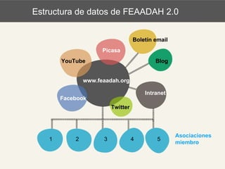 www.feaadah.org Picasa YouTube Facebook Twitter Intranet Blog Asociaciones miembro 1 2 3 4 5 Boletín email Estructura de datos de FEAADAH 2.0 